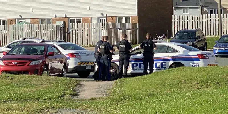 Two Arrested in Connection with Shots Fired in St. John's Neighbourhood, Car Crash in Dildo