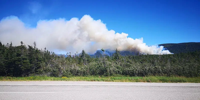 Crews Battle Forest Fires Burning in Benoits Siding, Terra Nova, Embree
