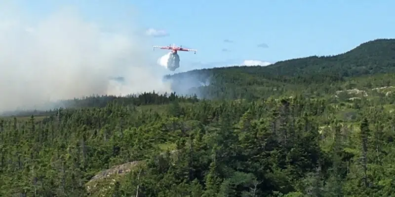 Man Arrested in Connection with Twillingate Arsons