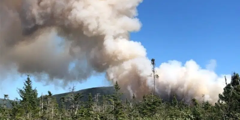 At Least Seven Fires Burning in NL as Crews Contend with Busy Forest Fire Season