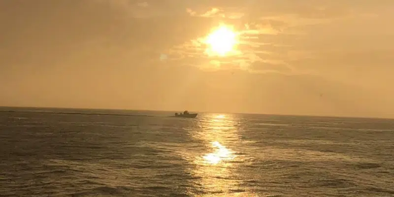 December 2, 2023 - COP28 is underway in Dubai, do you think real progress can be made in addressing climate change?