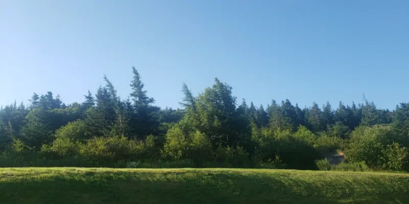 Temperatures Expected to Dip Across Province Friday