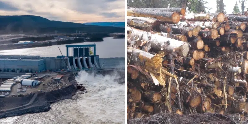 New Forestry Project to Make Use of Timber for Muskrat Falls Site