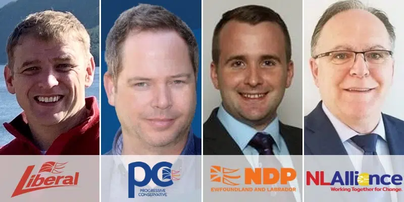 Four Candidates Running in Humber-Gros Morne as Nominations Close