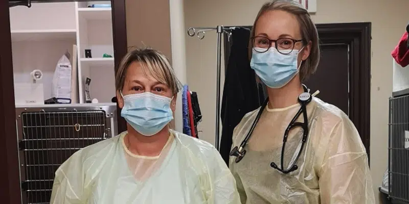 Vet Clinic Issues Caution After Parvovirus Identified on West Coast