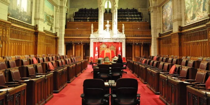 NL-Driven Georgina's Law Unanimously Passed in Senate