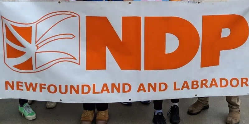 NDP Opens Call For Nominations in District of Fogo Island-Cape Freels