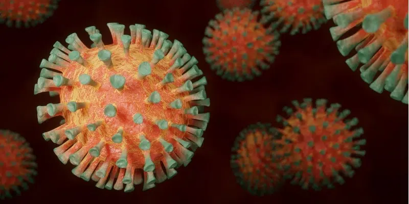 Six More Lives Claimed from Respiratory Viruses in Newfoundland and Labrador