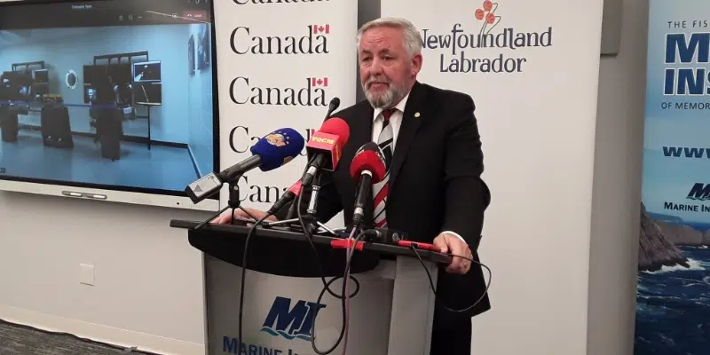 Marine Institute Unveils New High-Tech Underwater Robotics Simulation Lab