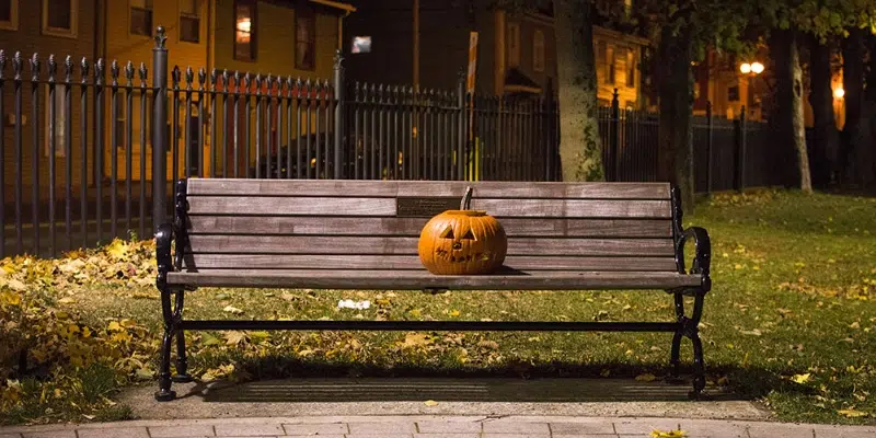 City of St. John's to Collect Pumpkins for Compost