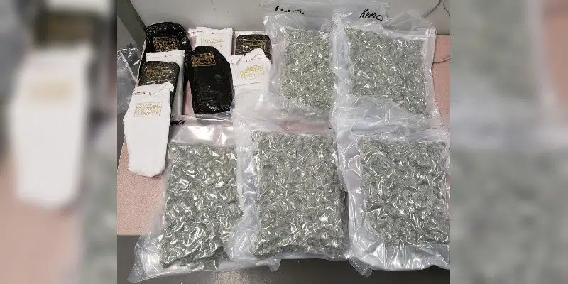 Northern Arm Man Charged with Importing Cannabis into Province