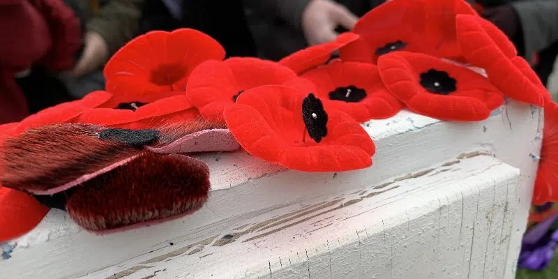 Royal Canadian Legion Launches Annual Poppy Campaign