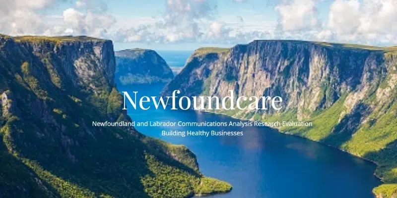 Local Company Looking to Dive Deep into Bullying in NL