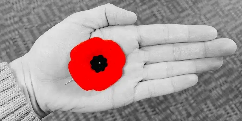 Annual Poppy Campaign Important to Veterans says Royal Canadian Legion