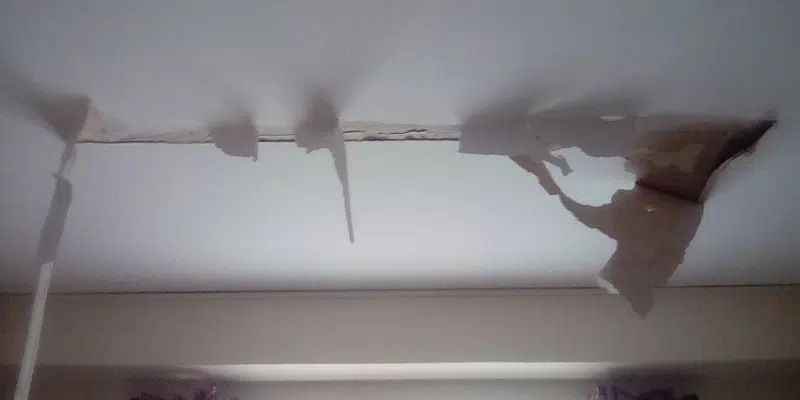 Woman Living in St. John's Housing Frustrated by Unfixed Leaky Ceiling