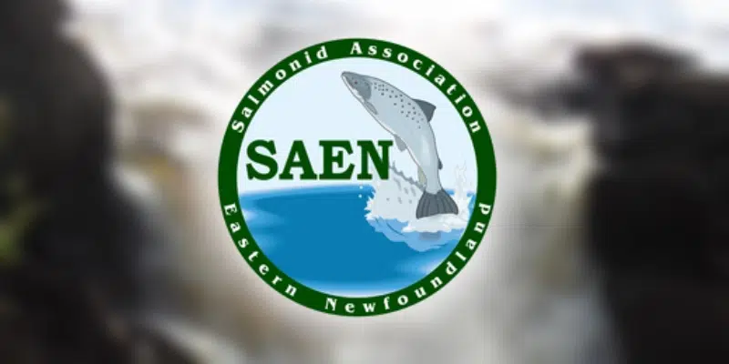 SAEN Challenges Local Aquaculture Industry to Invest in Long-Term Study