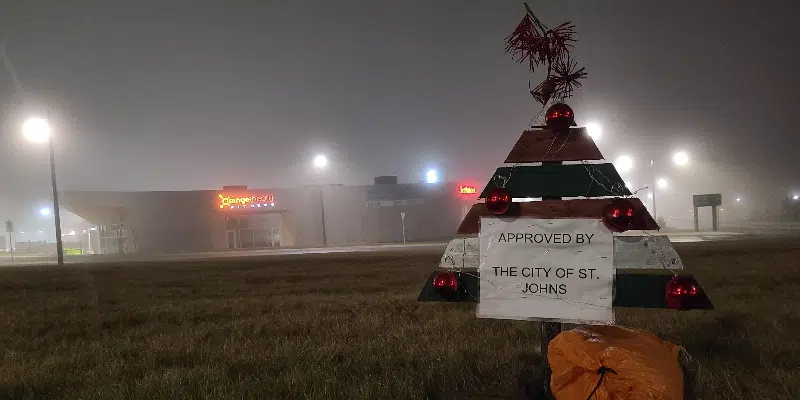 Mini Christmas Tree Appears in Centre of Galway Roundabout
