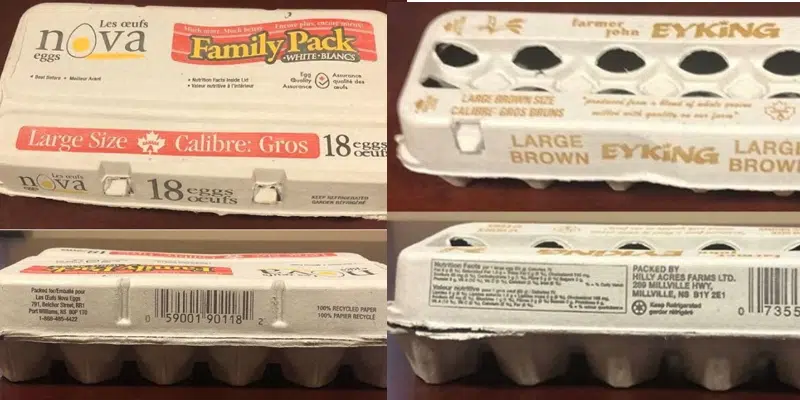 Eggs Sold in NL Recalled Due to Possible Salmonella Contamination