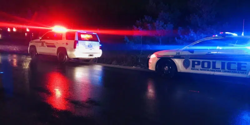 RNC Kept Busy on Saturday Night with String of Arrests and Charges Ranging from Property Damage to Assault with a Weapon