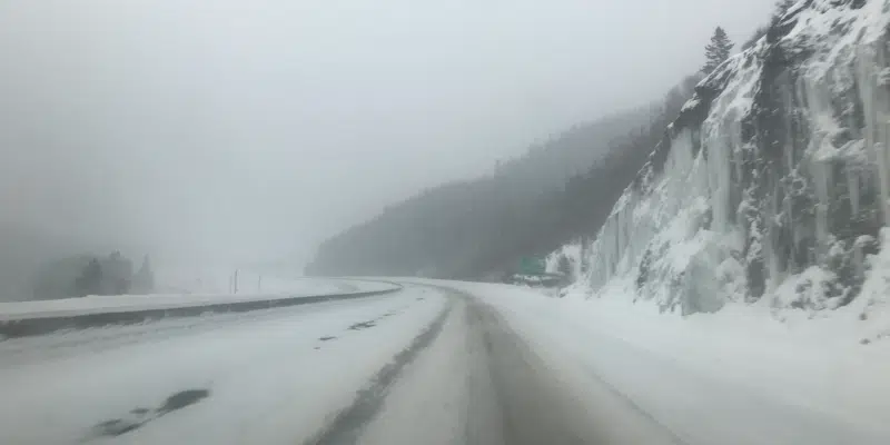 Corner Brook Halts Public Transit as Road Conditions Deteriorate