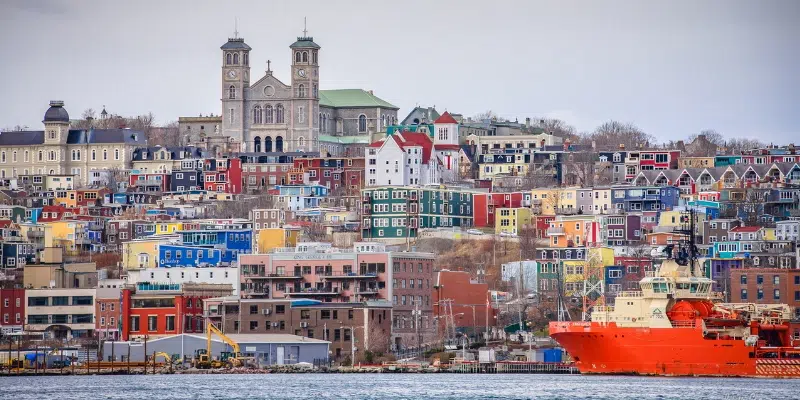 Report Shows Population of St. John's Grew by Over 20 Per Cent