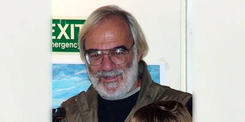 Seabird Population Does Not Appear to Be Affected by Avian Flu, Says Local Biologist