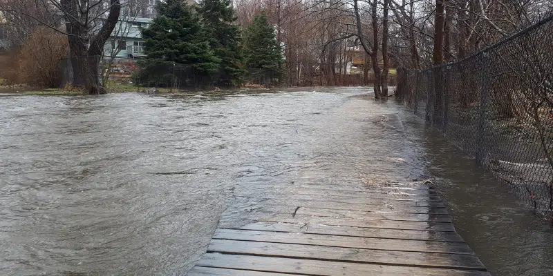 Flooding on St. John's Trails Raising Questions of Delays in Upgrades