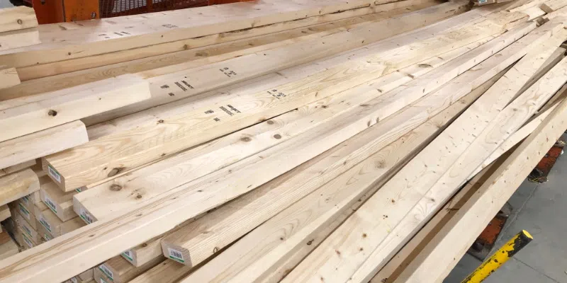 NL Lumber Exporters Target Europe Amid Trade War