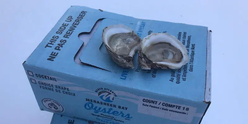 Government Providing Grant to Provinces Only Oyster Farm to Advance Shellfish Aquaculture
