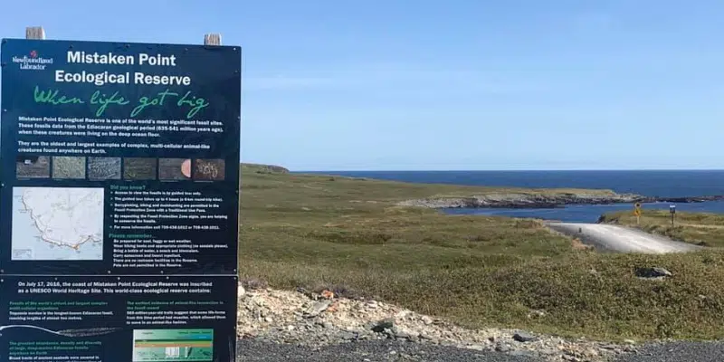 Tourism Season for Cape St. Mary's and Mistaken to Close This Week