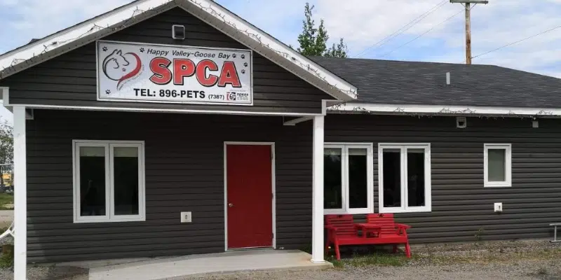 Happy Valley-Goose Bay SPCA in Need of Donations to Keep Doors Open
