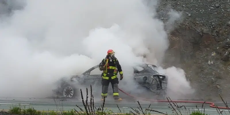 Car Catches Fire on TCH Near Avondale