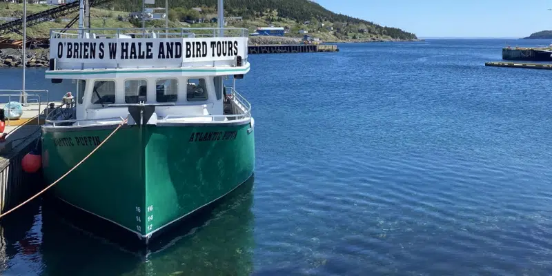Tour Boat Operators Note Uptick in Out-of-Province Booking as NL Prepares to Reopen