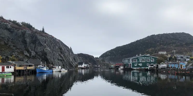 Mallard Cottage Owner Pleased with Potential for Quidi Vidi Pedestrian Zone