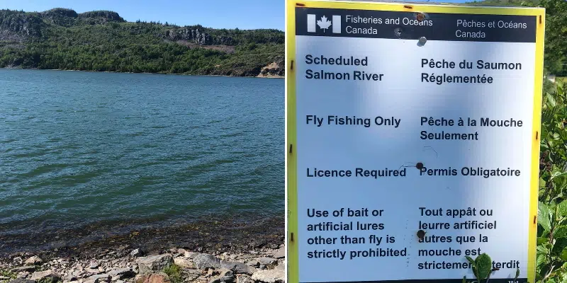 Salmon Cove Sands Safe for Swimming After Algal Bloom Upstream