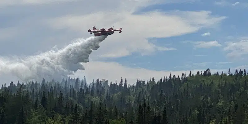 Provincial Crews Battle Forest Fire in Lewisporte