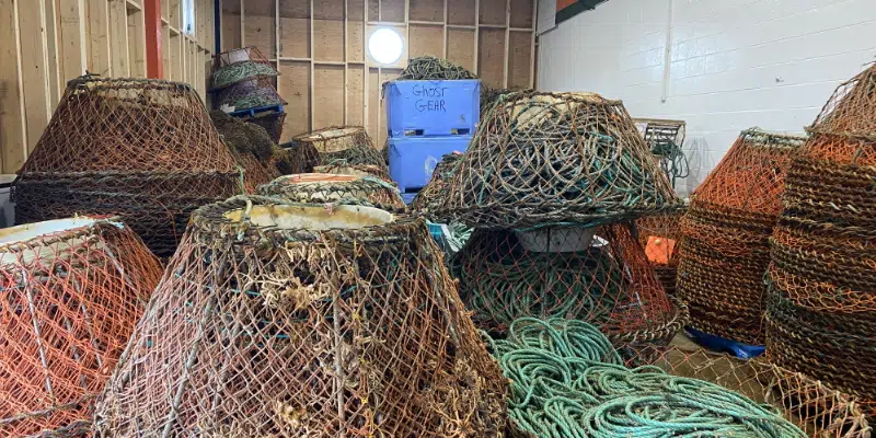 Twelve Tons of Ghost Gear Pulled from Ocean on Eastern Avalon