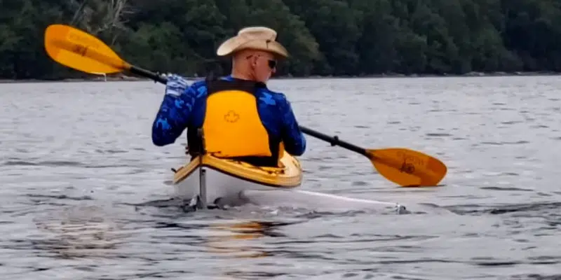 Curious Beluga Gets Up Close and Personal with Kayakers Near Clarenville