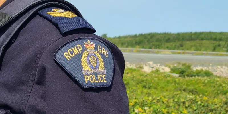 Grates Cove Woman Arrested After Allegedly Boarding School Bus, Assaulting Students