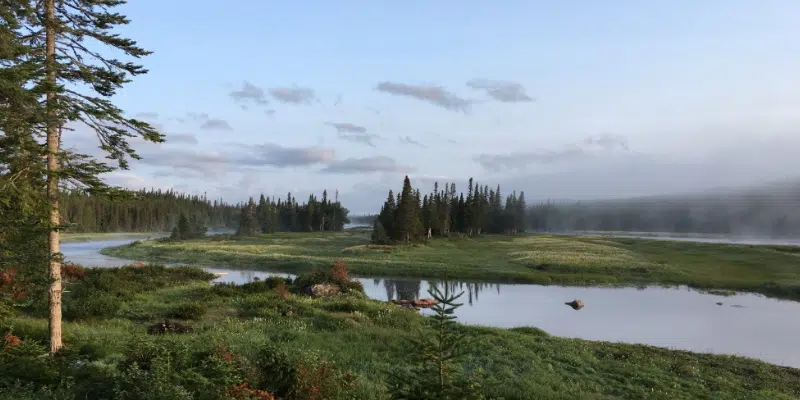 Main River Waterway Provincial Park Forest Access Road Washed Out