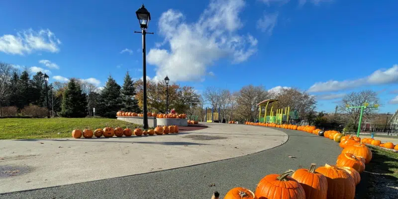 City of St. John's Holding Annual Pumpkin Walk in Bannerman Park