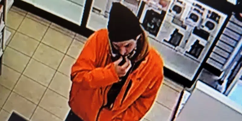 RCMP Seeks Public Help in Gander Theft