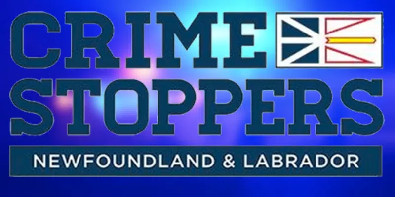 Crime Stoppers Tips Lead to 60 Arrests in 2023