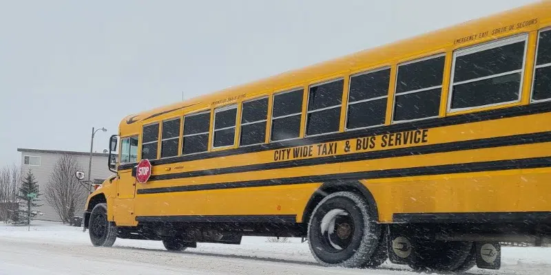 Some Schools Closed for Day, Metro Schools Closing Early as Winter Storm Heads for Eastern NL