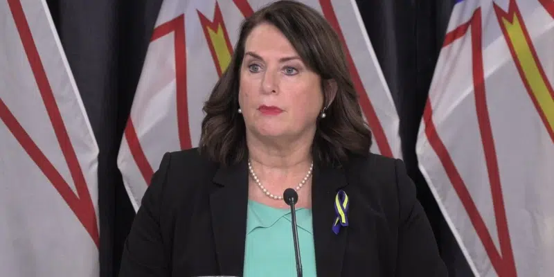 Provincial Government Unveils Rising Cost of Living Plan