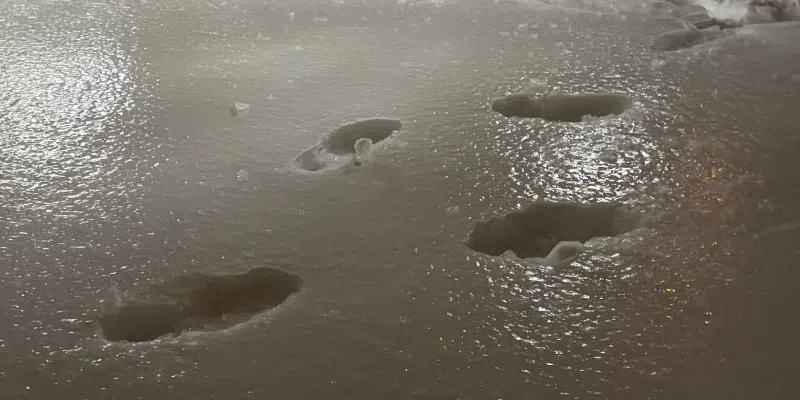 Rain and Wind Hit Newfoundland Ahead of Rapid Temperature Drop