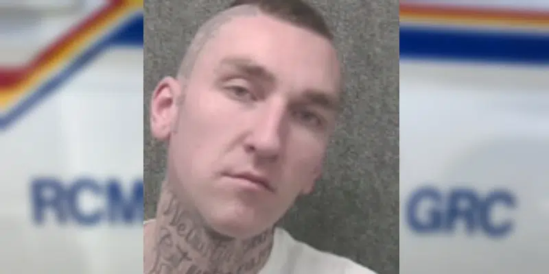 RNC Searching for Man Wanted for Violent St. John's Vehicle Theft