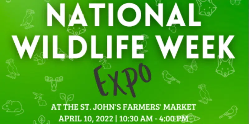 National Wildlife Week Caps Off Celebrations With Expo in St. John's