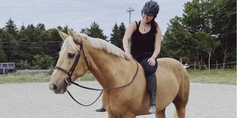 Newfoundland Equestrian Association Asking Drivers to Be Mindful of Horses