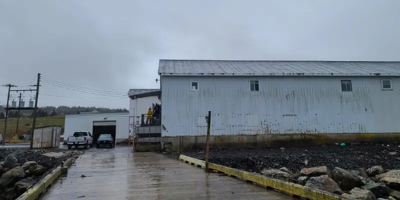 St. Mary's Mayor Says Fish Plant a Success Story for Region